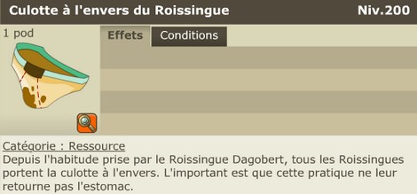 culotte roissingue